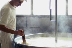 ricotta uberti -per i tortelli pastificio marcello