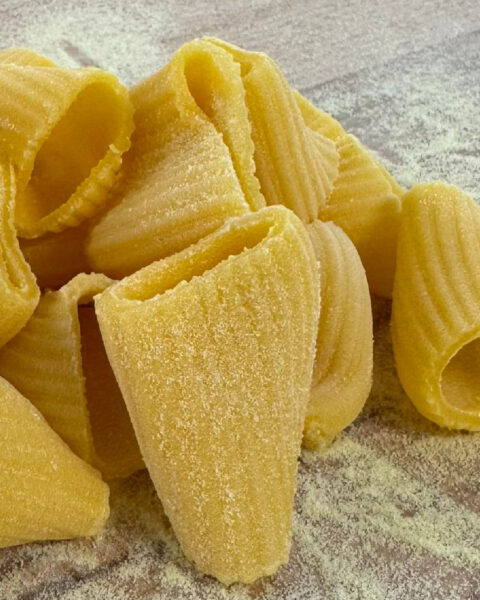 i Rigatoni Trafilati Artigianali