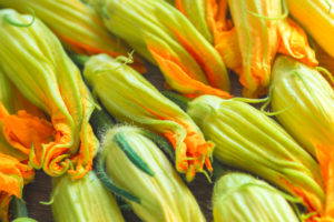 FIORI DI ZUCCA E STRACCHINO DI CAPRA