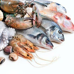 IL PESCE