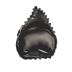 PASTA AL NERO DI SEPPIA